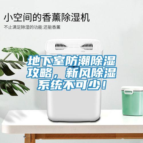 地下室防潮除濕攻略，新風除濕系統(tǒng)不可少！