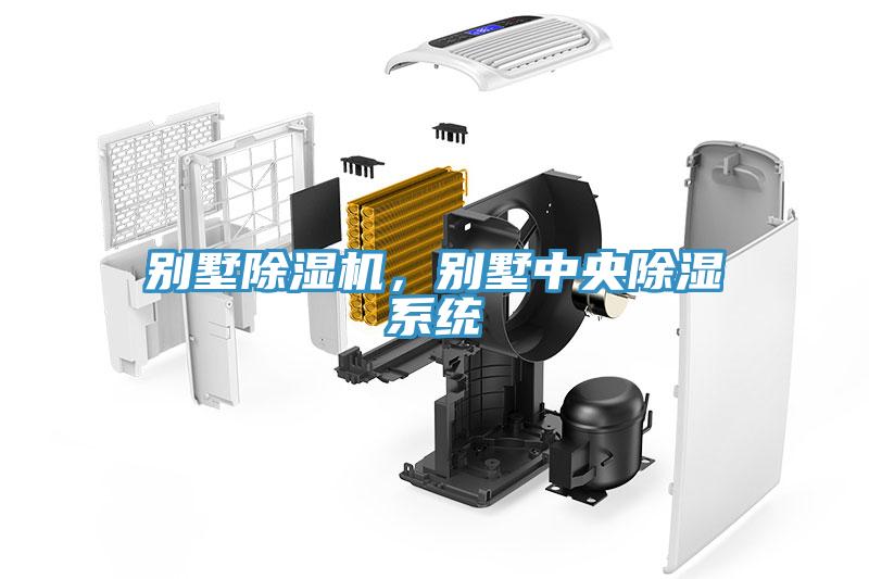 別墅除濕機，別墅中央除濕系統(tǒng)