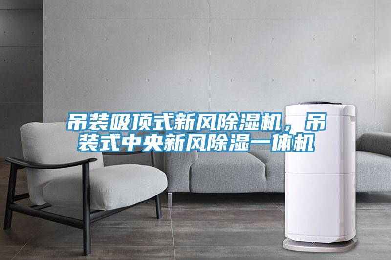 吊裝吸頂式新風(fēng)除濕機，吊裝式中央新風(fēng)除濕一體機