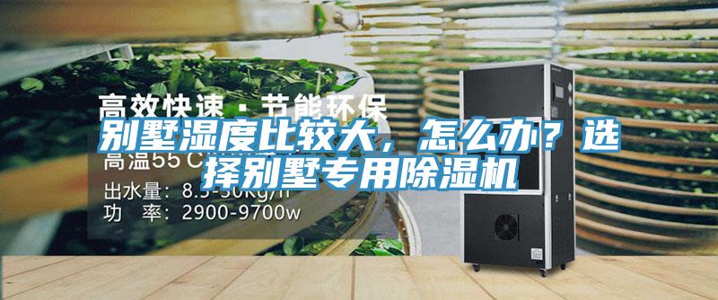 別墅濕度比較大，怎么辦？選擇別墅專用除濕機