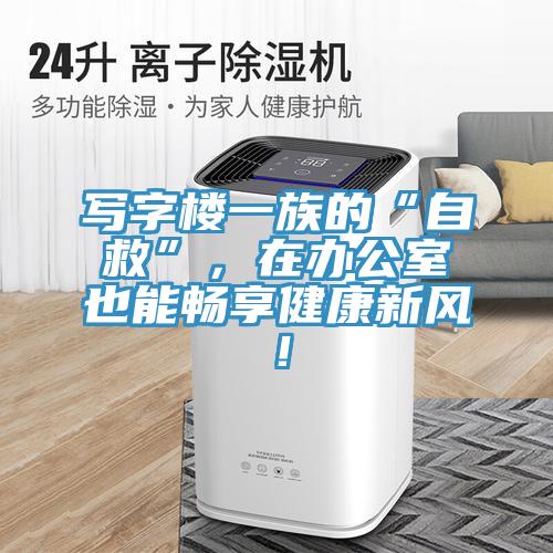 寫字樓一族的“自救”，在辦公室也能暢享健康新風(fēng)！
