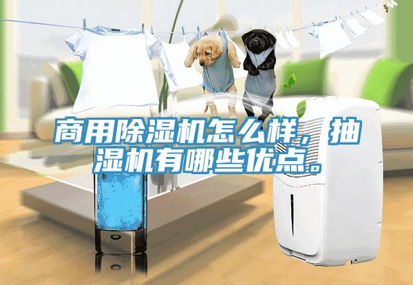 商用除濕機(jī)怎么樣，抽濕機(jī)有哪些優(yōu)點(diǎn)。