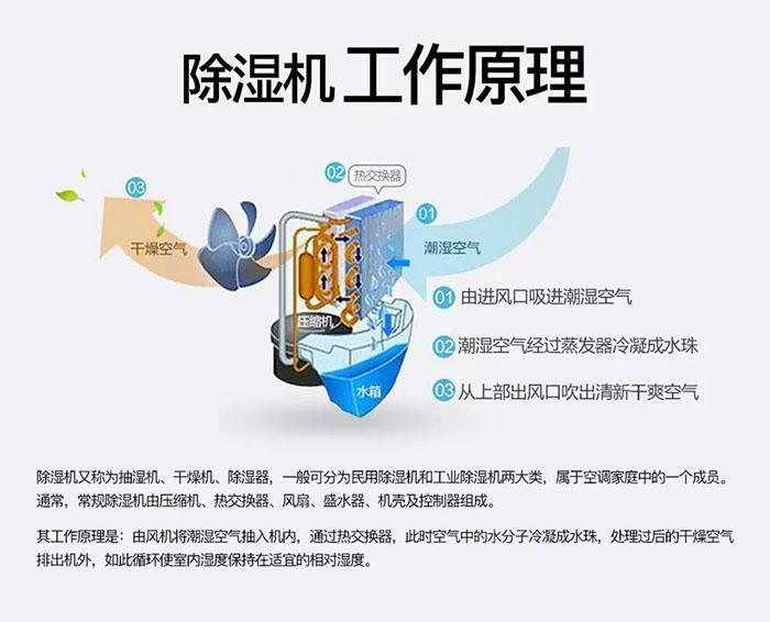 南方濕冷會致病你知道嗎？