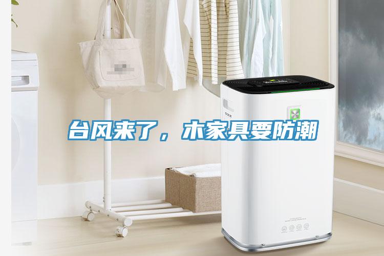臺(tái)風(fēng)來(lái)了，木家具要防潮
