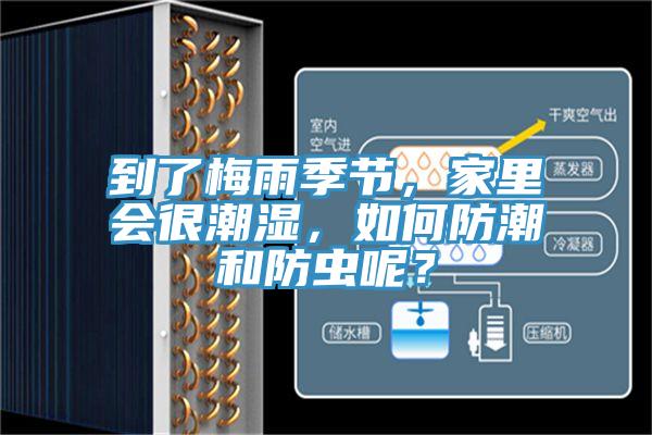 到了梅雨季節(jié)，家里會(huì)很潮濕，如何防潮和防蟲呢？