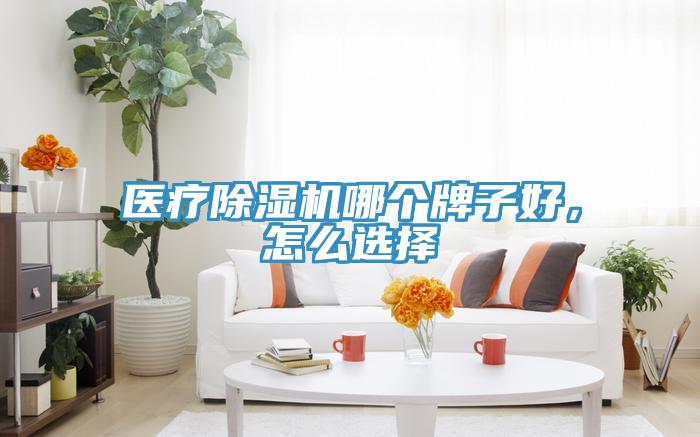 醫(yī)療除濕機(jī)哪個牌子好，怎么選擇