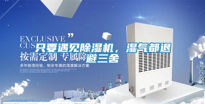 只要遇見除濕機，濕氣都退避三舍