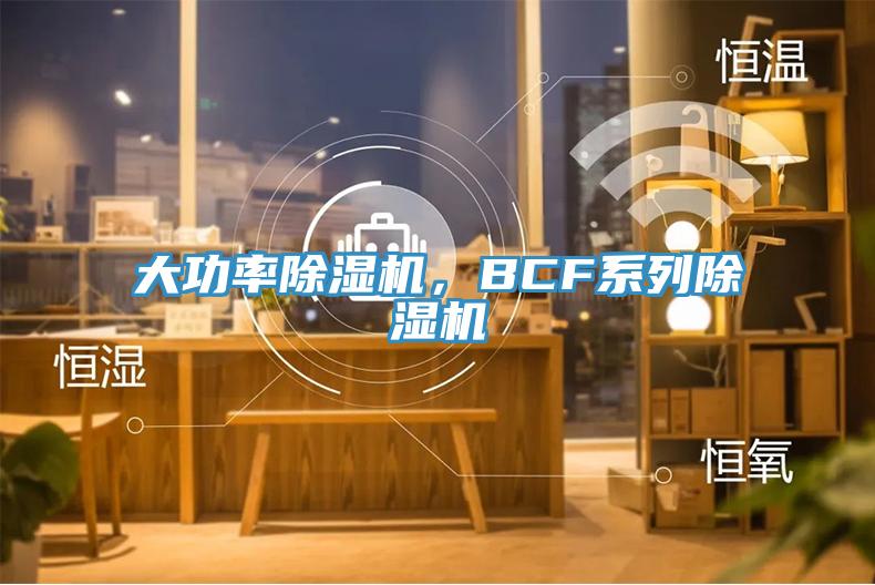 大功率除濕機，BCF系列除濕機