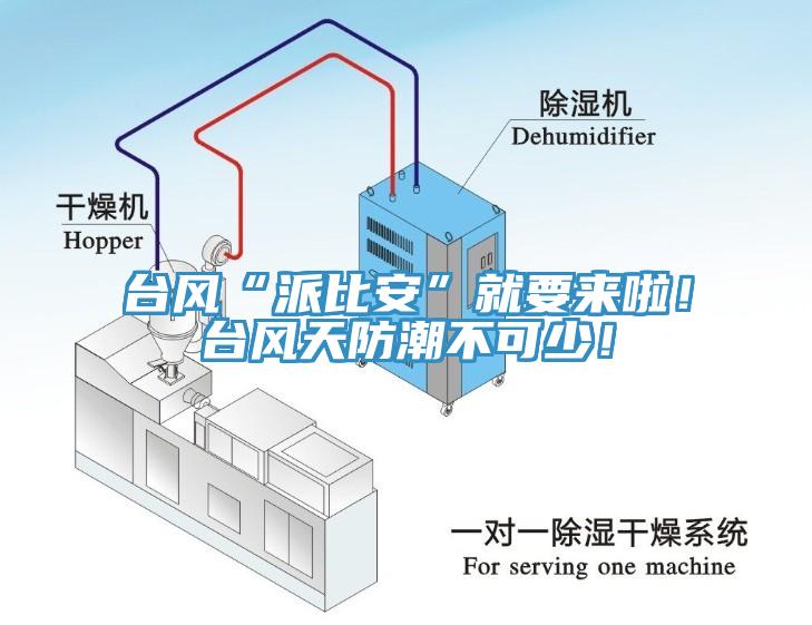 臺風“派比安”就要來啦！臺風天防潮不可少！