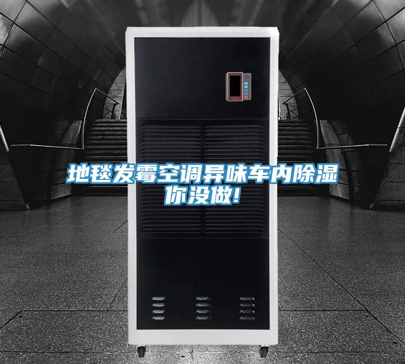 地毯發(fā)霉空調(diào)異味車內(nèi)除濕你沒(méi)做!