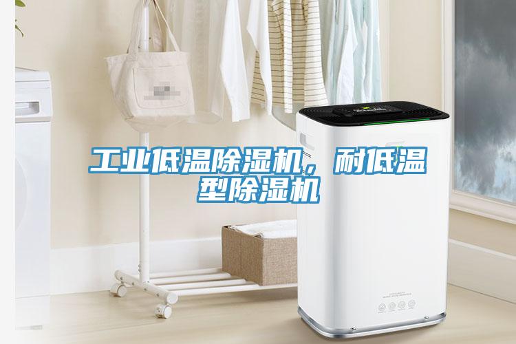 工業(yè)低溫除濕機(jī)，耐低溫型除濕機(jī)