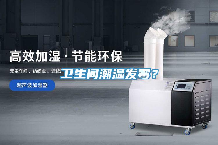 衛(wèi)生間潮濕發(fā)霉？