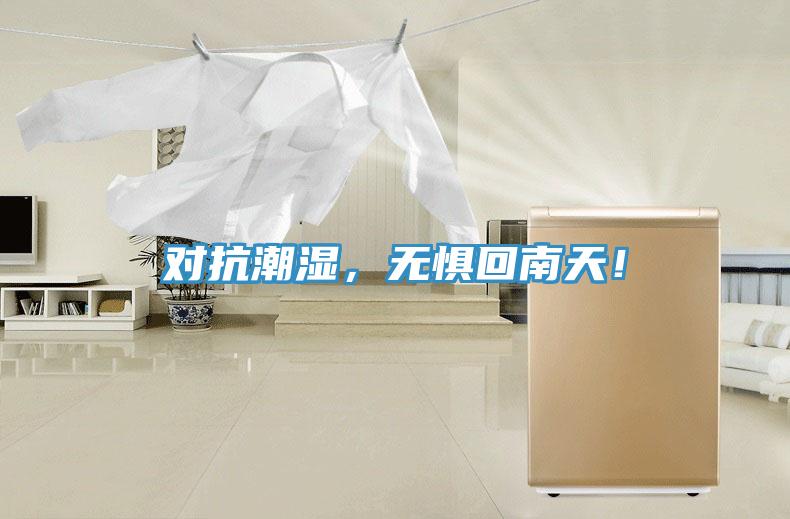 對抗潮濕，無懼回南天！