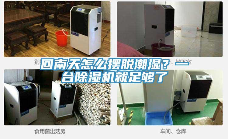回南天怎么擺脫潮濕？一臺除濕機(jī)就足夠了