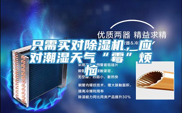 只需買對除濕機，應(yīng)對潮濕天氣“霉”煩惱