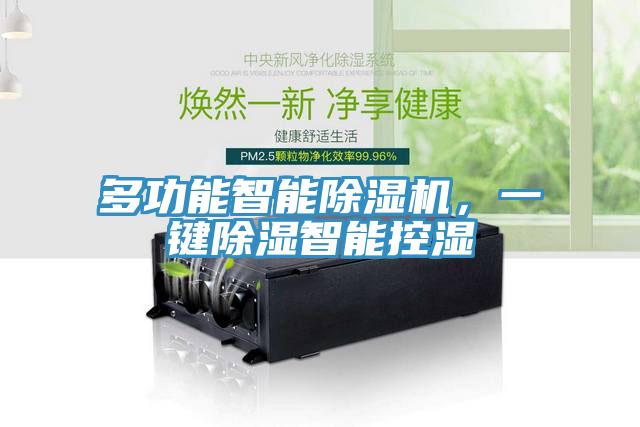 多功能智能除濕機(jī)，一鍵除濕智能控濕