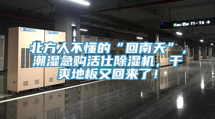 北方人不懂的“回南天”，潮濕急購活仕除濕機(jī)，干爽地板又回來了！