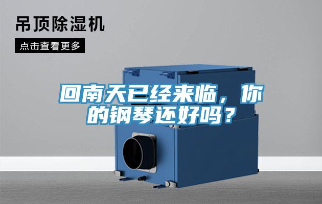 回南天已經(jīng)來臨，你的鋼琴還好嗎？