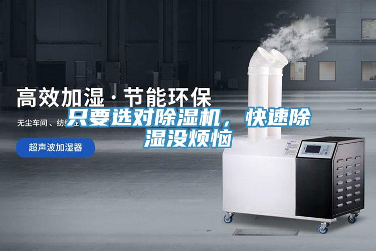 只要選對除濕機，快速除濕沒煩惱