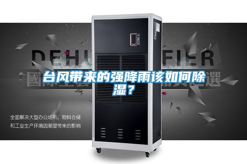臺風(fēng)帶來的強(qiáng)降雨該如何除濕？