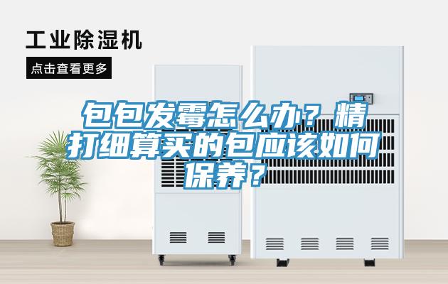 包包發(fā)霉怎么辦？精打細(xì)算買的包應(yīng)該如何保養(yǎng)？