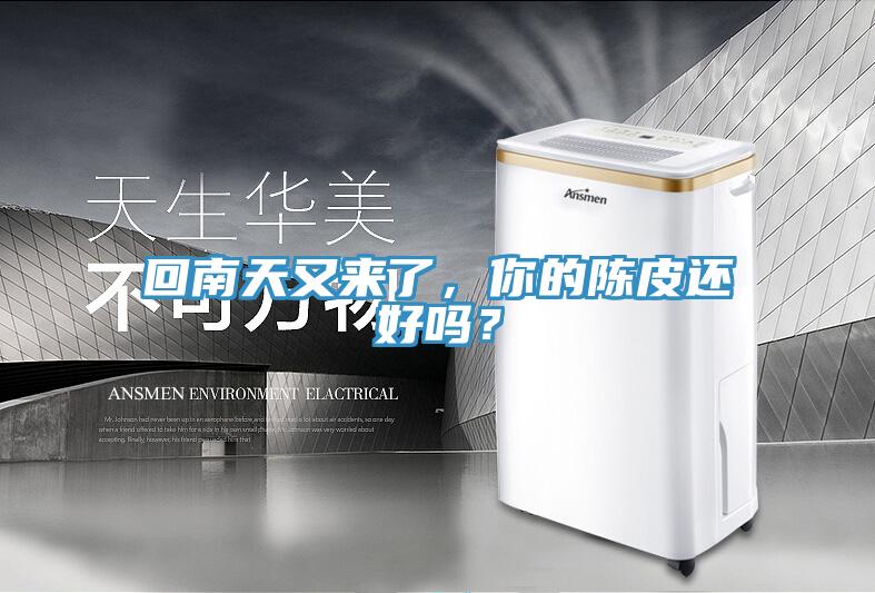回南天又來了，你的陳皮還好嗎？