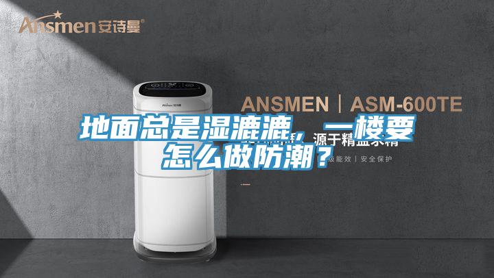 地面總是濕漉漉，一樓要怎么做防潮？