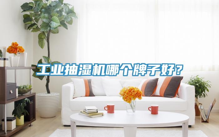 工業(yè)抽濕機(jī)哪個(gè)牌子好？