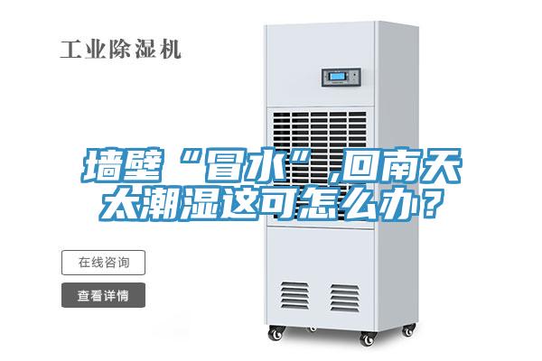 墻壁“冒水”,回南天太潮濕這可怎么辦？