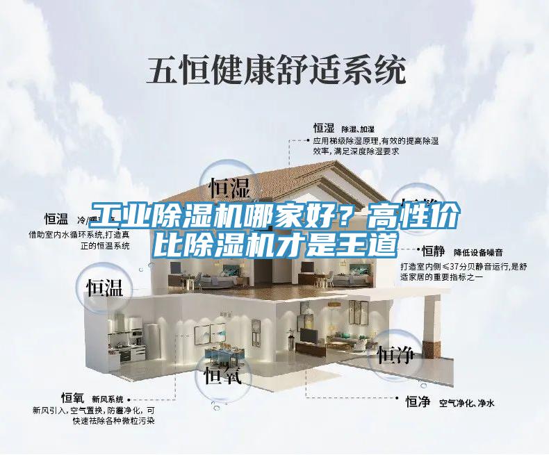 工業(yè)除濕機(jī)哪家好？高性?xún)r(jià)比除濕機(jī)才是王道
