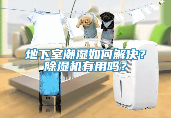 地下室潮濕如何解決？除濕機(jī)有用嗎？