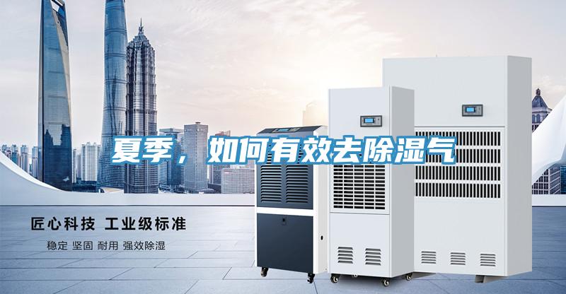 夏季，如何有效去除濕氣