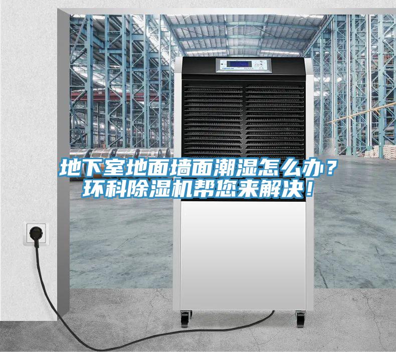 地下室地面墻面潮濕怎么辦?環(huán)科除濕機幫您來解決!