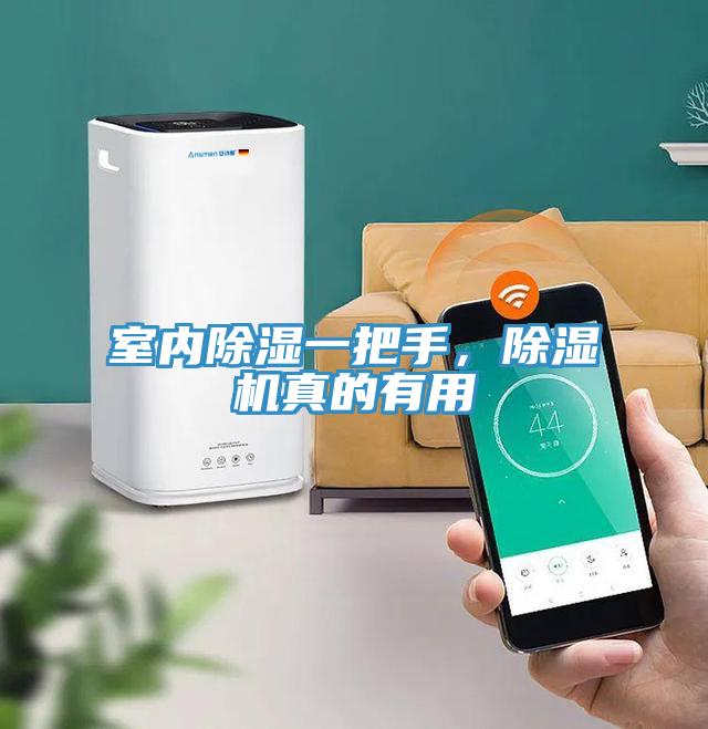 室內(nèi)除濕一把手，除濕機(jī)真的有用