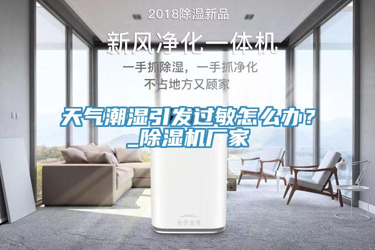 天氣潮濕引發(fā)過敏怎么辦？_除濕機廠家