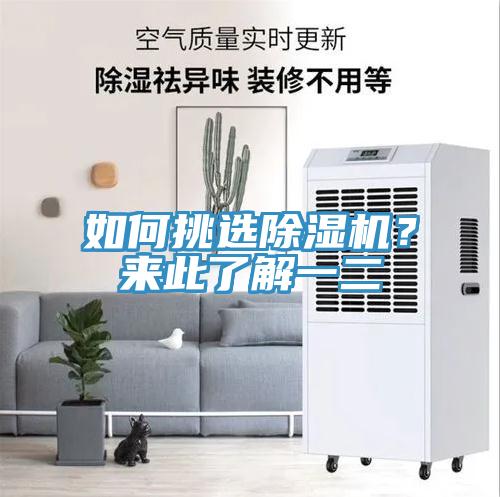 如何挑選除濕機？來此了解一二
