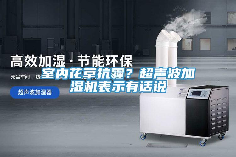 室內(nèi)花草抗霾？超聲波加濕機表示有話說