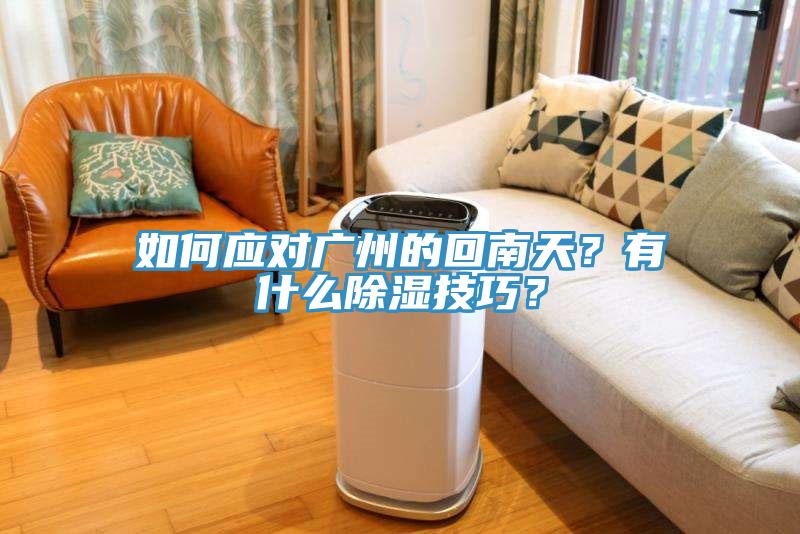 如何應對廣州的回南天？有什么除濕技巧？