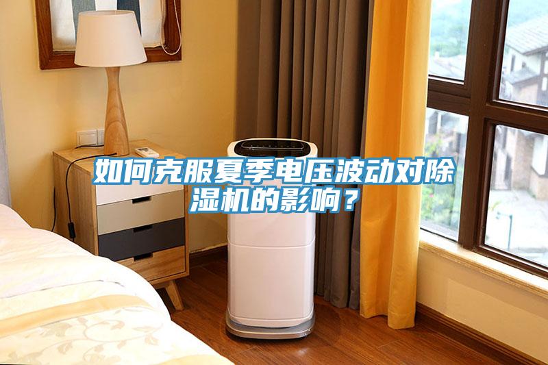 如何克服夏季電壓波動對除濕機的影響？