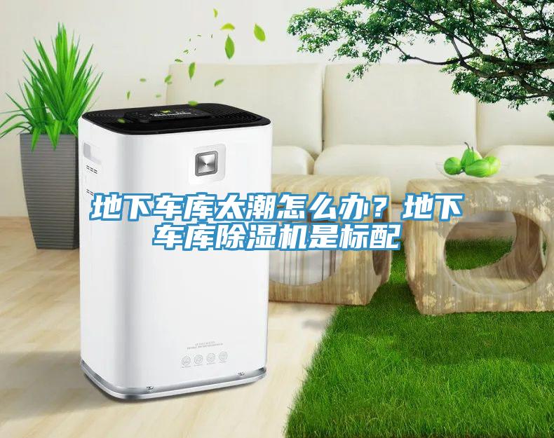 地下車(chē)庫(kù)太潮怎么辦？地下車(chē)庫(kù)除濕機(jī)是標(biāo)配