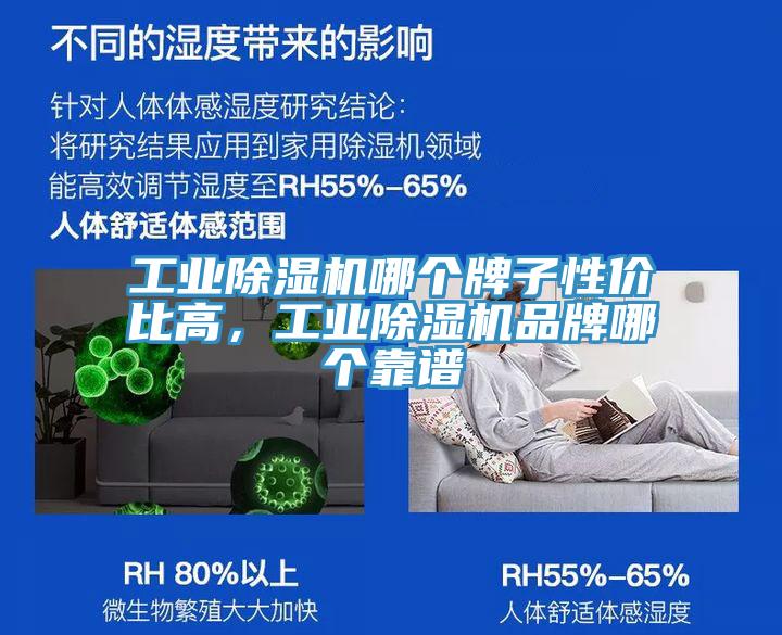 工業(yè)除濕機哪個牌子性價比高，工業(yè)除濕機品牌哪個靠譜
