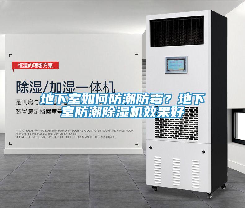 地下室如何防潮防霉？地下室防潮除濕機(jī)效果好