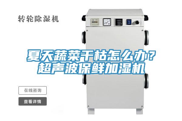 夏天蔬菜干枯怎么辦？超聲波保鮮加濕機(jī)
