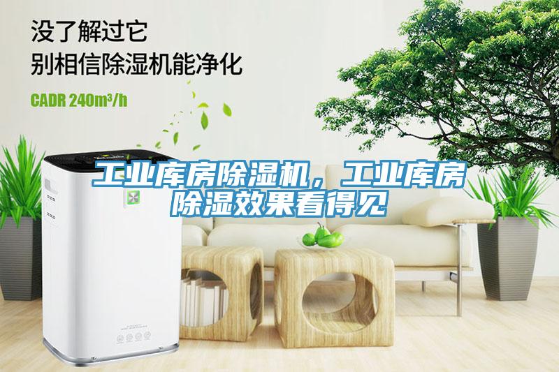 工業(yè)庫房除濕機(jī)，工業(yè)庫房除濕效果看得見