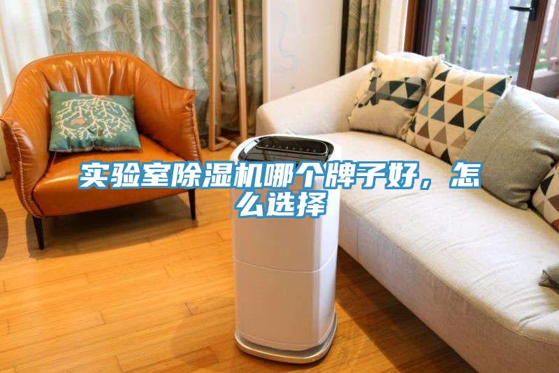 實驗室除濕機哪個牌子好，怎么選擇