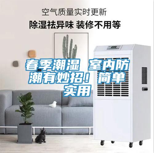 春季潮濕 室內(nèi)防潮有妙招！簡單實用