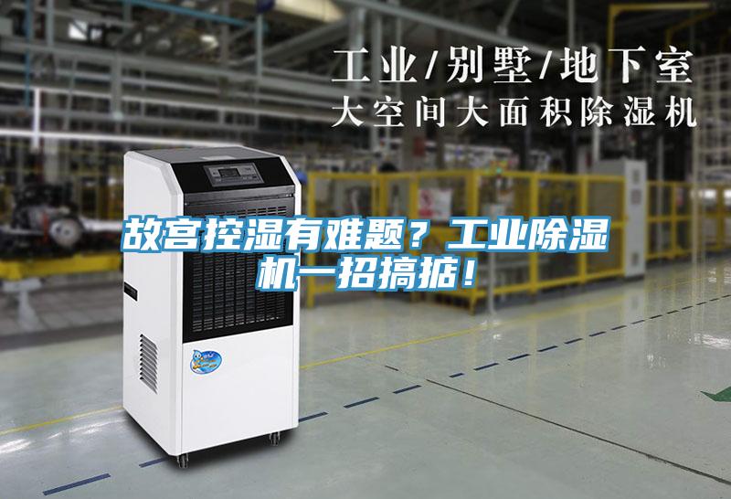 故宮控濕有難題？工業(yè)除濕機(jī)一招搞掂！