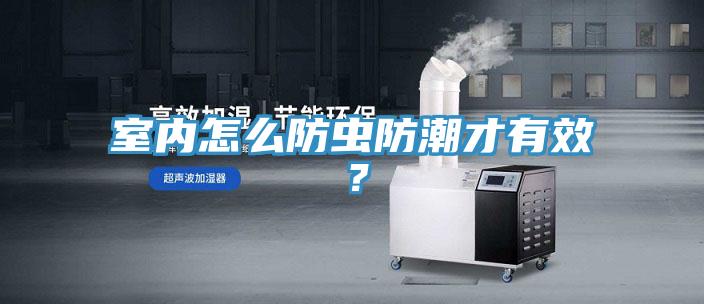 室內怎么防蟲防潮才有效？