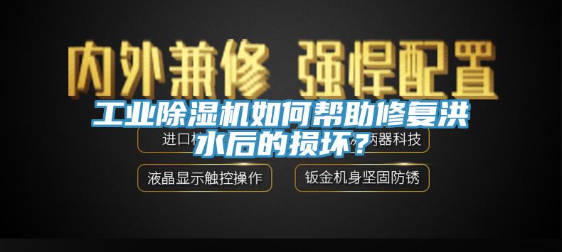 工業(yè)除濕機(jī)如何幫助修復(fù)洪水后的損壞？