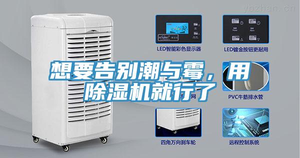 想要告別潮與霉，用除濕機就行了